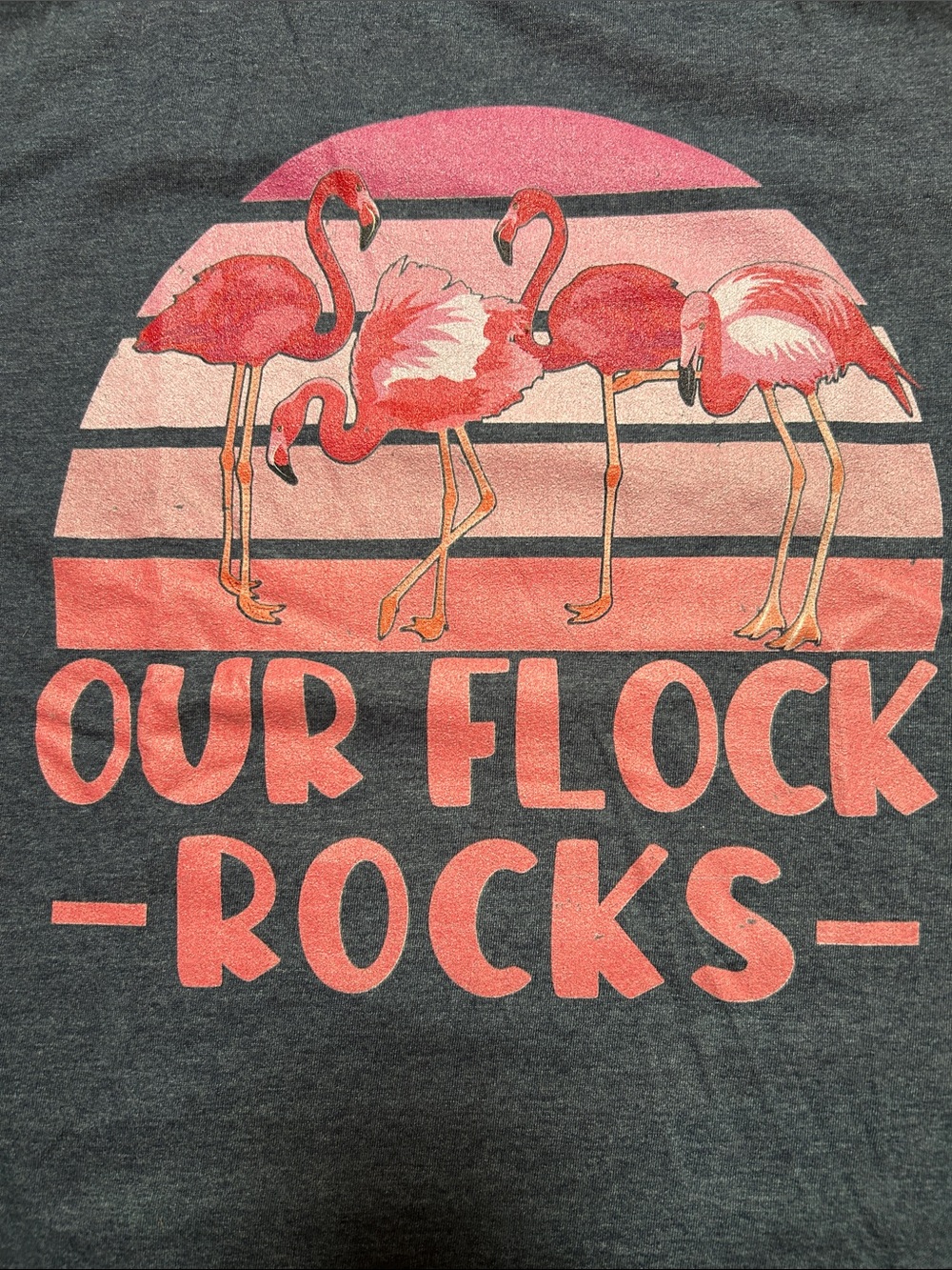 Gildan Charcoal Teacher Tee with Pink Flamingo Sunset Graphic
